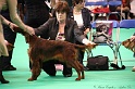 Crufts2011 123